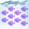 Humidifier Tank Cleaner, Warm&Cool Mist Humidifiers, Fish Tank, Keep The Water by Raipoment