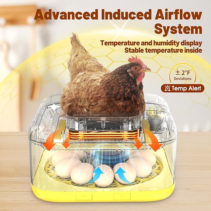 Incubator for Hatching Eggs, 12 Eggs Incubator - Image 7