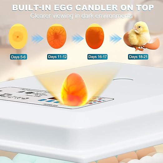 Incubators for Hatching Eggs, 36 Egg Incubator - Image 4