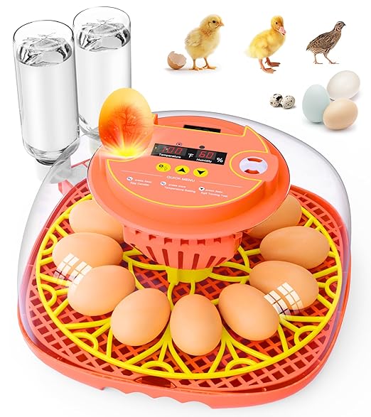 12 Egg Incubator for Hatching Eggs, Smart Temperature and Humidity Control by Brnvl