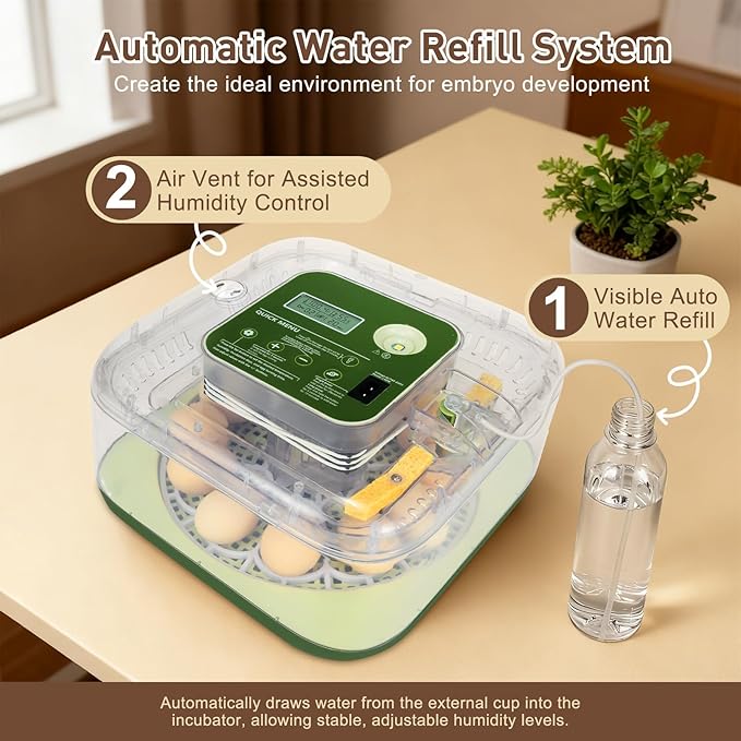 2026 New Auto 12-Egg Incubator for Beginners, Automated Incubation, - Image 5