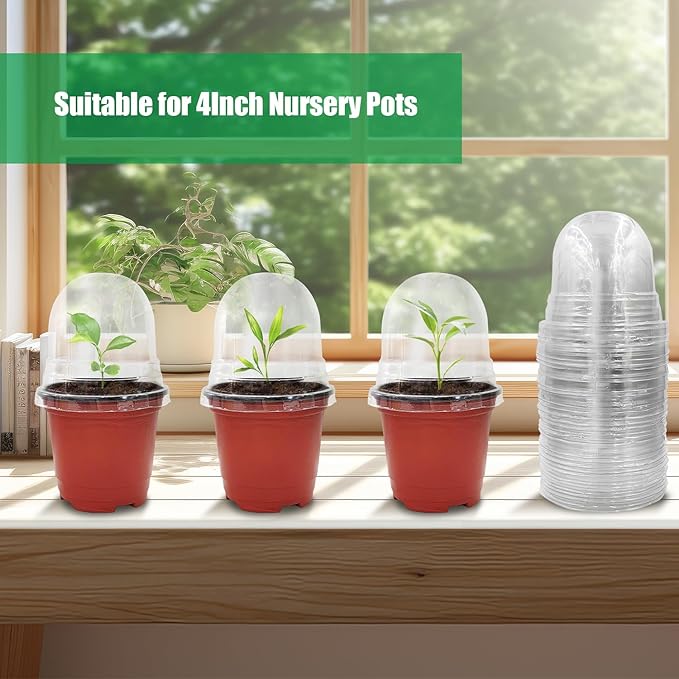 50 Pack Clear Plant Pot Domes, Transparent Seedling Domes Compatible - Image 6