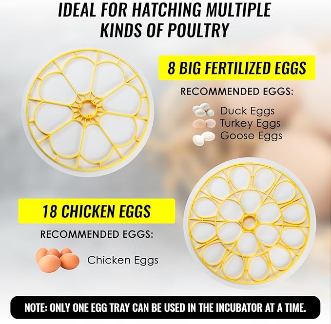 Incubators for Hatching Eggs, 18 Egg Incubator - Image 5