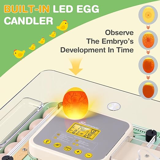 Sailnovo 48 Egg Incubator for Hatching Eggs - Image 6