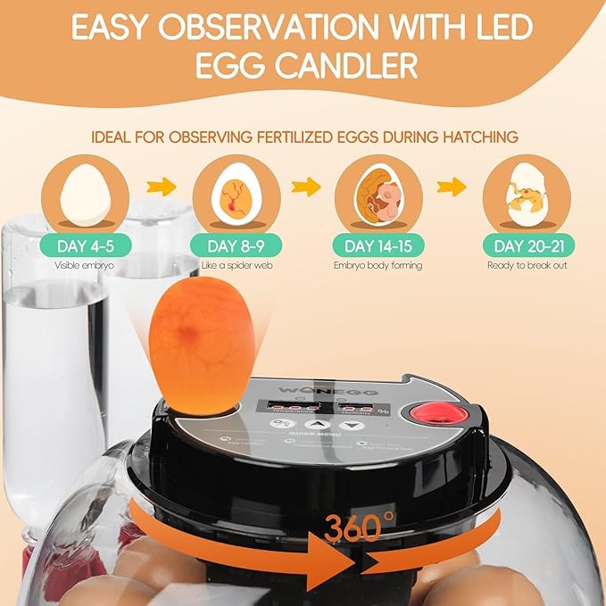 Simple Plus 12-Egg Incubator for Beginners, Full-Stage Adaptive Humidity & Temp - Image 5
