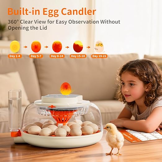 18 Egg Incubator, 2 Egg Trays, Automatic Egg Turning - Image 6