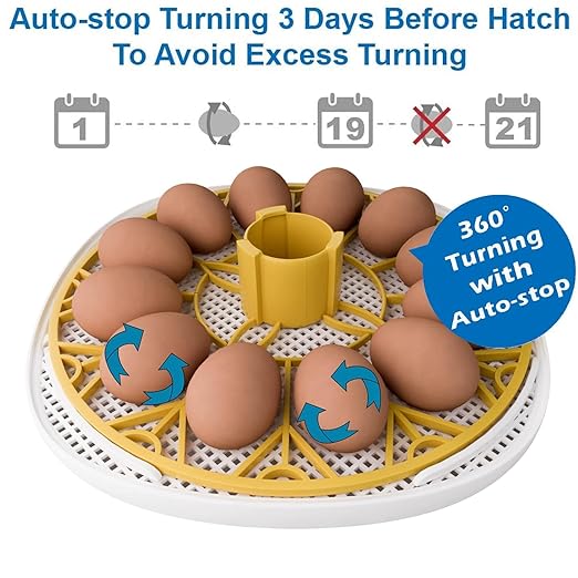 Egg Incubator for Hatching Chicks, 12-24 Egg Incubators - Image 4