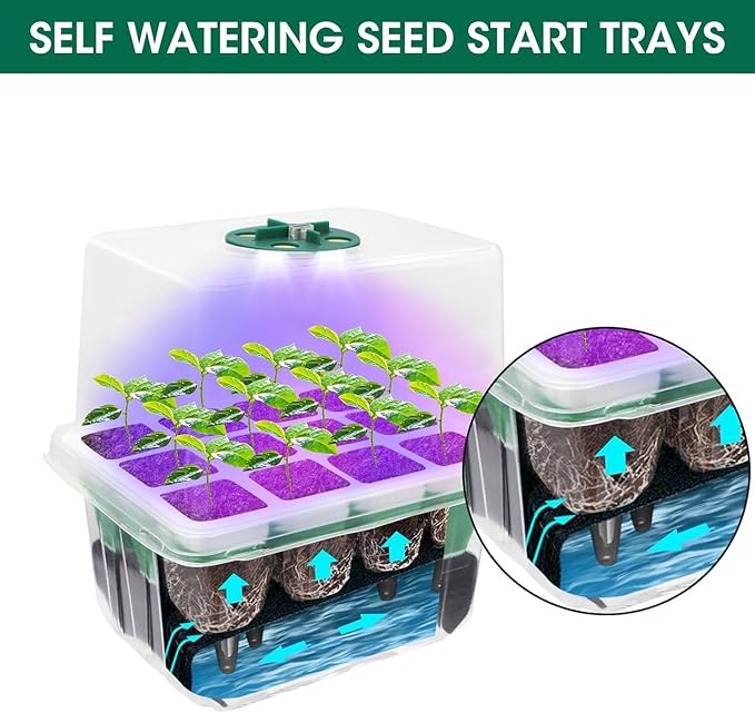 Seed Starter Tray with Grow Light, 5 Pack 60 Cells Seedling Tray Kit Reusable & - Image 6