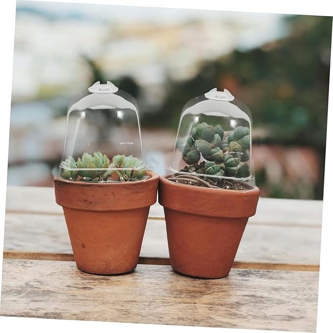 10pcs Transparent Greenhouse Dome Covers - Image 6