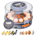Incubator, Egg Incubator, Incubator by Unknown