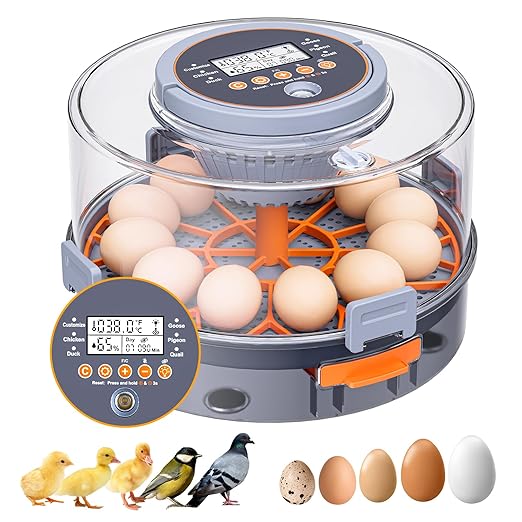 Incubator, Egg Incubator, Incubator by Unknown