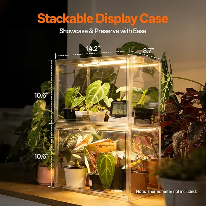 Bstrip Tabletop Greenhouse, GM4 Small Greenhouse - Image 3