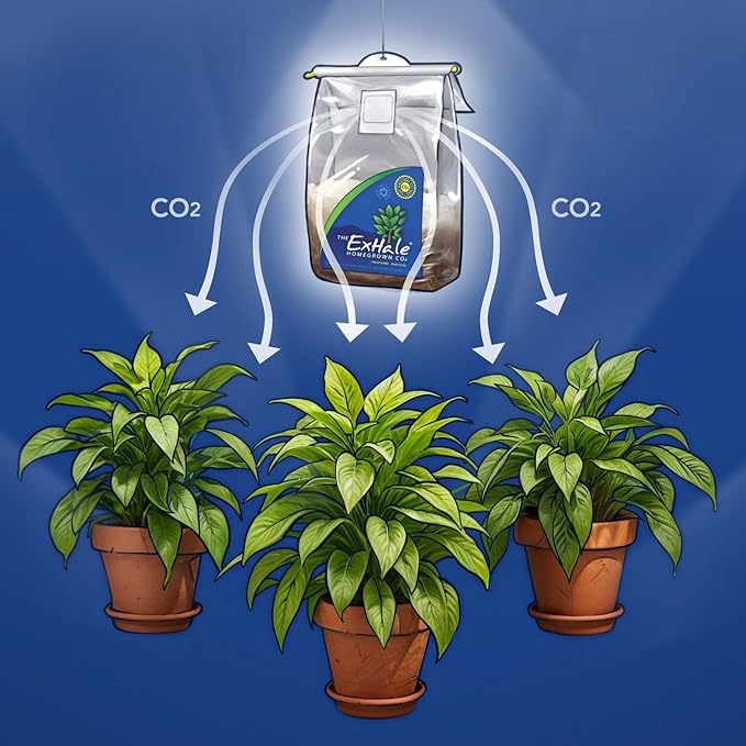 ExHale CO2 Original Bag - Image 6