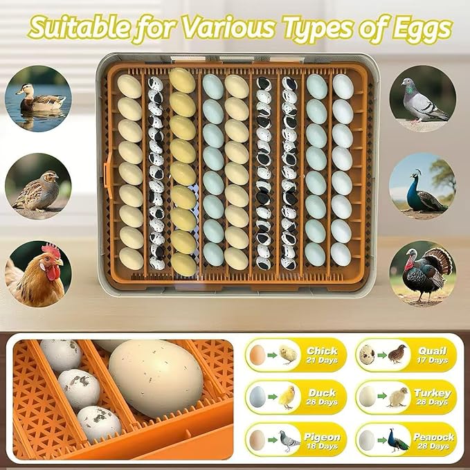 Egg Incubator for Hatching 56-154 Chicken/Quail/Turkey Eggs, 360° View Poultry - Image 2