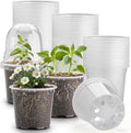 60 Pack Clear Nursery Pots by RooTrimmer