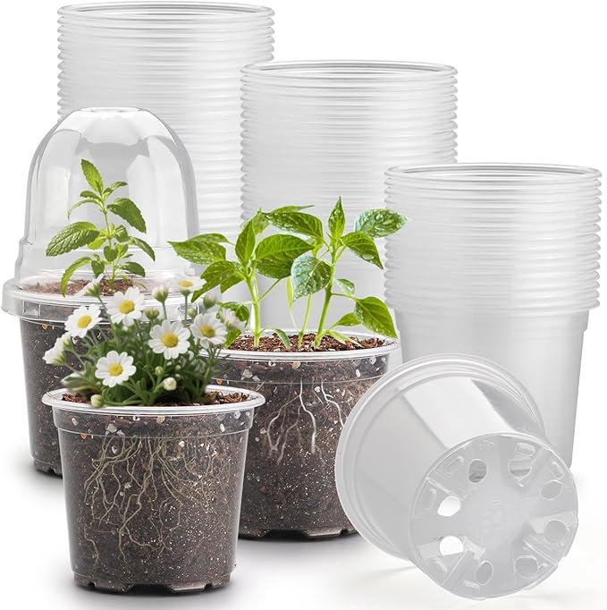 60 Pack Clear Nursery Pots by RooTrimmer