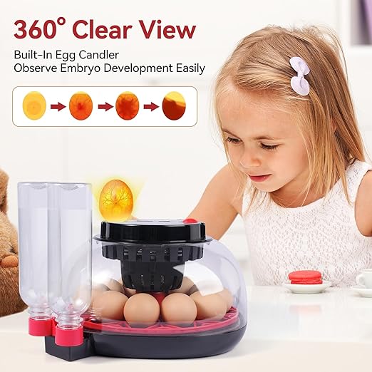 12 Egg Incubators for Hatching Eggs, Chicken Egg Incubator - Image 5