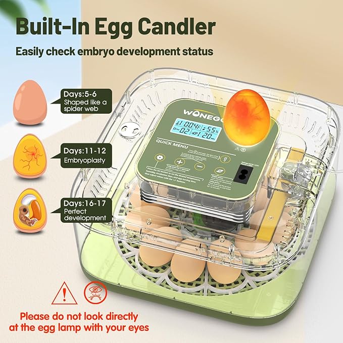 12 Egg Incubator with Automatic Egg Turning and Humidity Control, LED Egg - Image 5