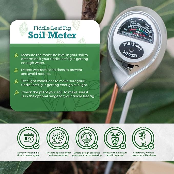 Houseplant Resource Center Fiddle Leaf Fig 3-in-1 Soil Moisture Meter - Image 3