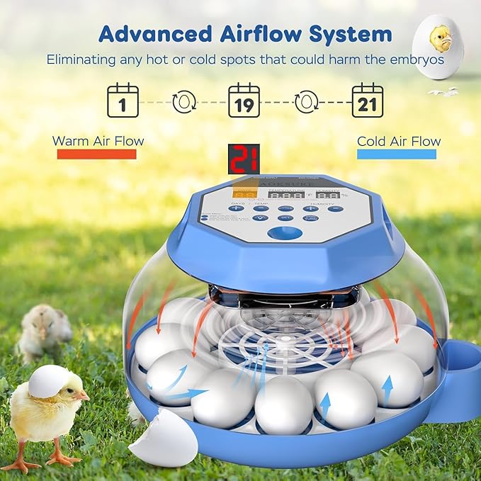 Incubator for Hatching Eggs12-24 Egg Capacity, Automatic Egg Turner, - Image 3