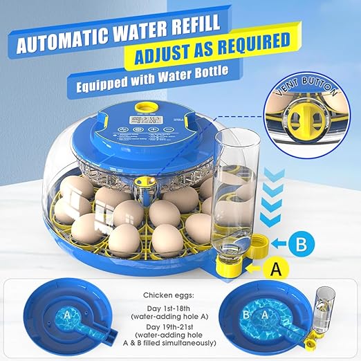 incubators for hatching eggs，18 Egg Incubator, egg incubator - Image 4
