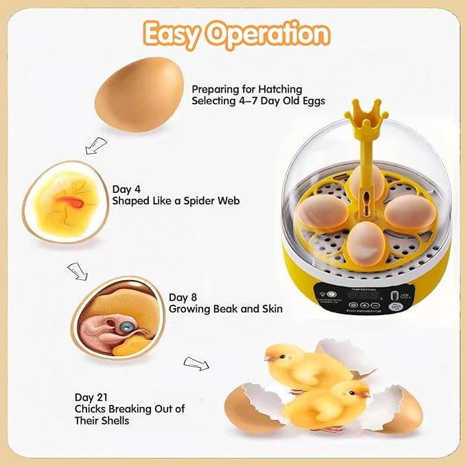 Tissting 4 Eggs Mini Incubator - Image 4