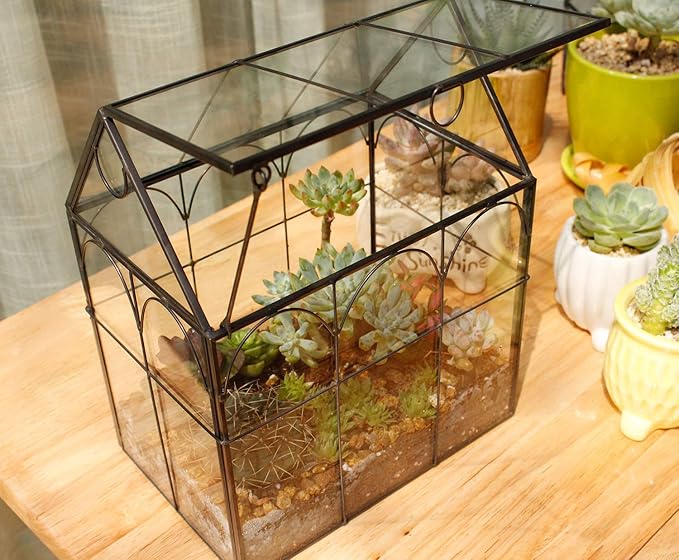 ELEGANTLIFE Glass Geometric Plant Terrarium, Succulent & Air Planter - Image 5