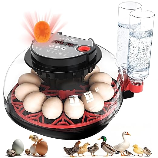 12 Egg Incubators for Hatching Eggs Automatic Egg Incubator by ZtexkeeHomeFurniture
