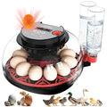 12 Egg Incubators for Hatching Eggs Automatic Egg Incubator by ZtexkeeHomeFurniture