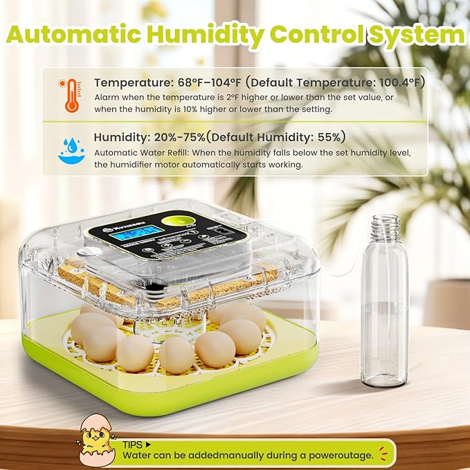Egg Incubators for Hatching Eggs, 12 Egg Incubator - Image 2