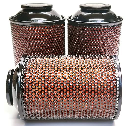 Gun Safe Dehumidifier, Moisture Absorbers, TOAAOT 200g Silica Gel Canister by TOAAOT