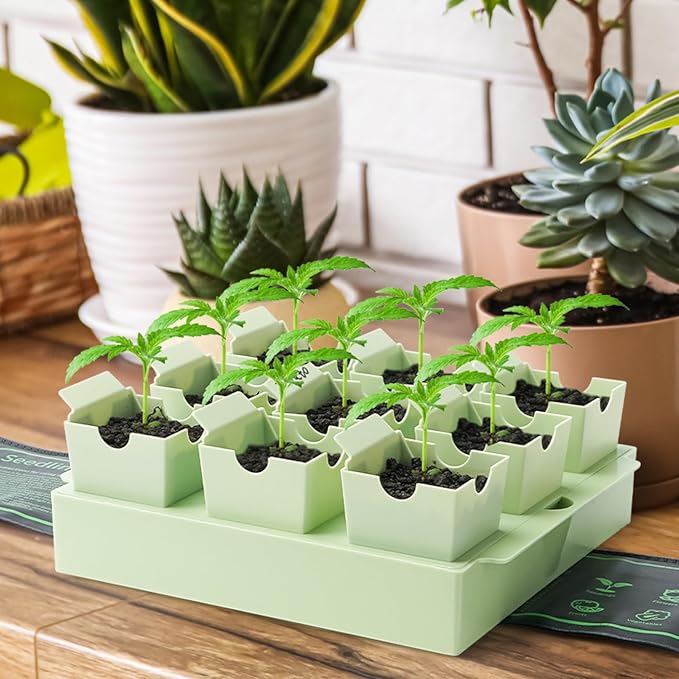 Seed Starter Tray, Dual-Purpose Handles - Image 8