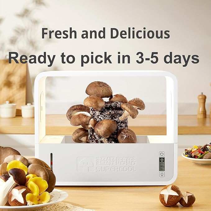 Mushroom Growing Tent, Intelligent Mushroom Growing Kit - Image 5