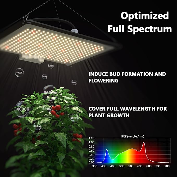 Upgrade Integrated Auto 2'X2' Grow Tent Kit Complete System, S1000 LED Grow - Image 3