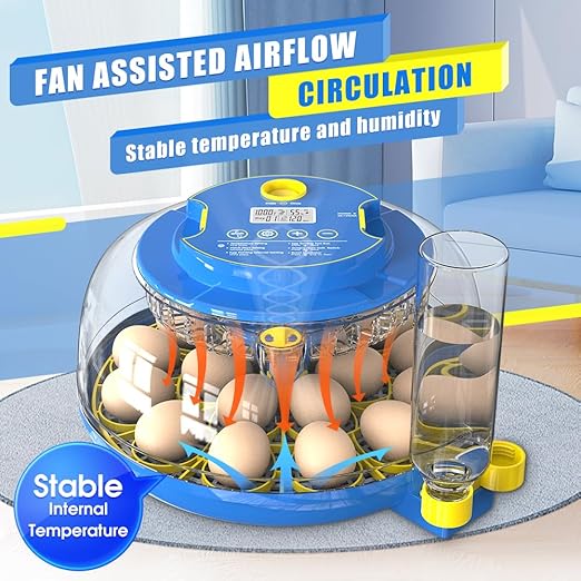 incubators for hatching eggs，18 Egg Incubator, egg incubator - Image 2