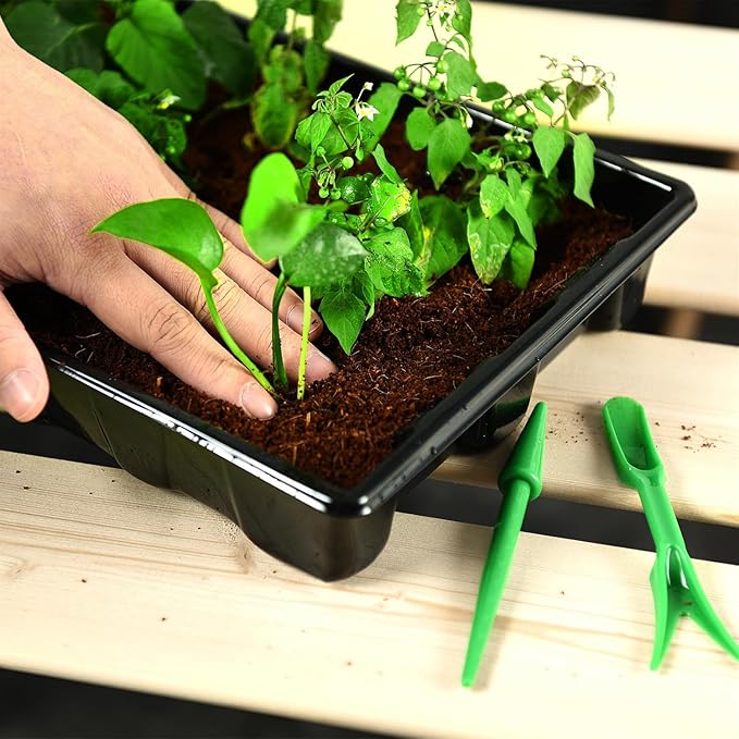 YoleShy 5 Packs Seed Starter Tray - Image 5