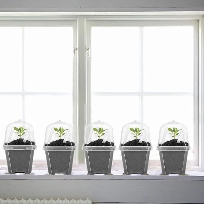 EBaokuup 50 Pcs Clear Plant Nursery Pots - Image 4