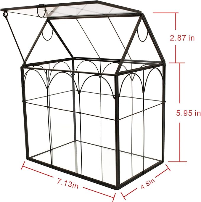 ELEGANTLIFE Glass Geometric Plant Terrarium, Succulent & Air Planter - Image 2