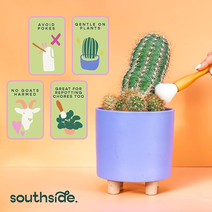 Southside Plant Cactus & Succulent Plants Cleaning Brushes - Image 4