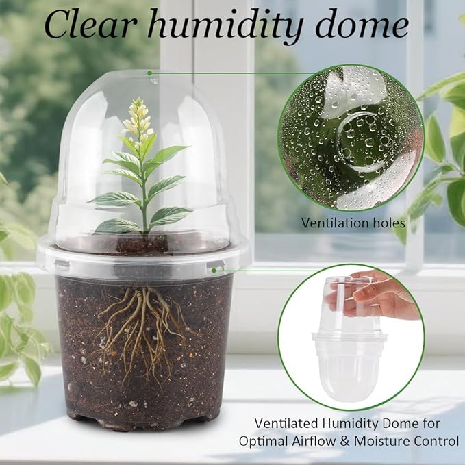 Transparent Nursery Pots 4Inch - Image 2