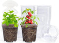 homenote Clear Nursery Pots for Plants, 5 Inch Plant Pot for Planting Plastic by HOMENOTE
