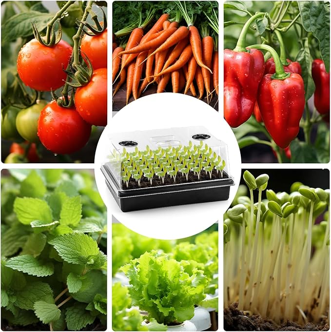 Seed Starter Tray with Grow Lights – 4 Pack Seedling Trays with 5" Humidity - Image 8