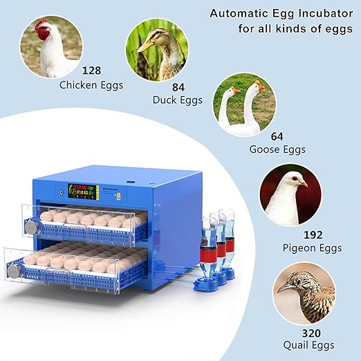 Automatic Eggs Incubator, Large Incubators - Image 2