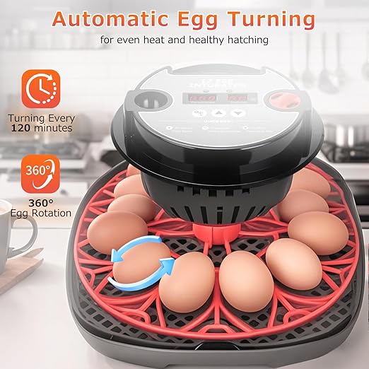 12 Egg Incubators for Hatching Eggs Automatic Egg Incubator - Image 5