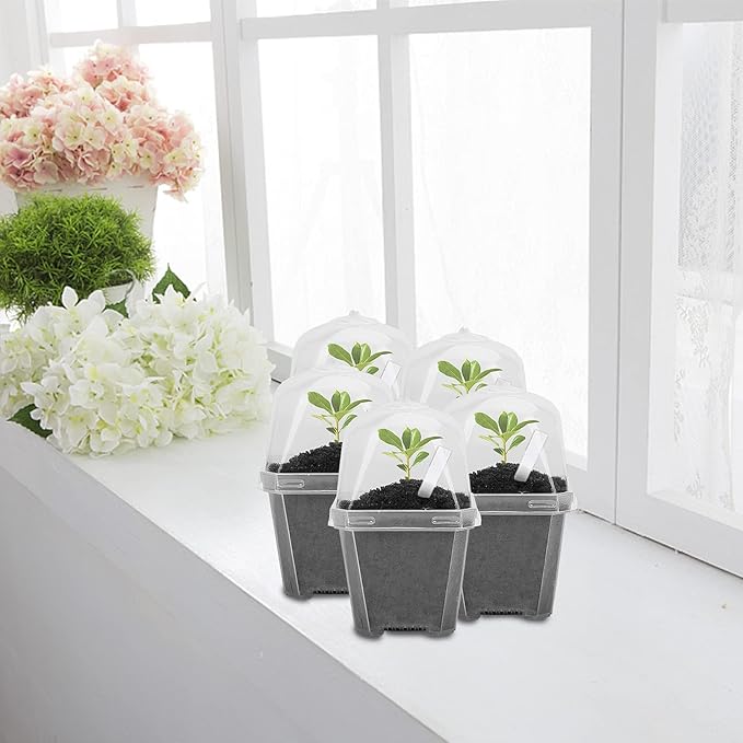 EBaokuup 10Pcs 4" Clear Plant Nursery Pots - Image 6