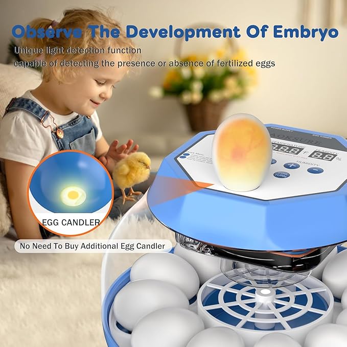 Incubator for Hatching Eggs12-24 Egg Capacity, Automatic Egg Turner, - Image 6