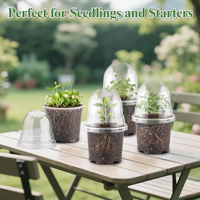 60 Pack Clear Nursery Pots - Image 7
