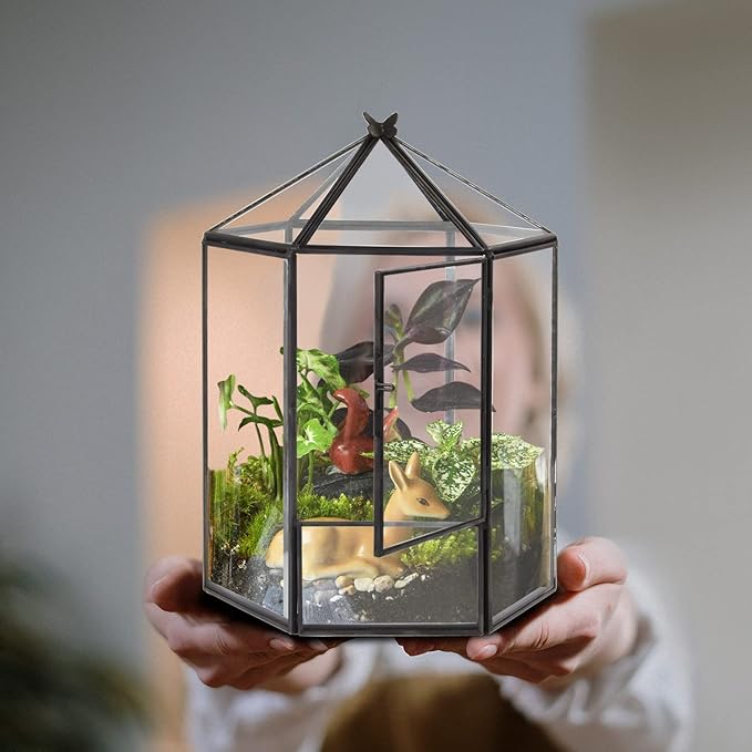 ELEGANTLIFE Glass Geometric Plant Terrarium, Succulent & Air Planter - Image 6