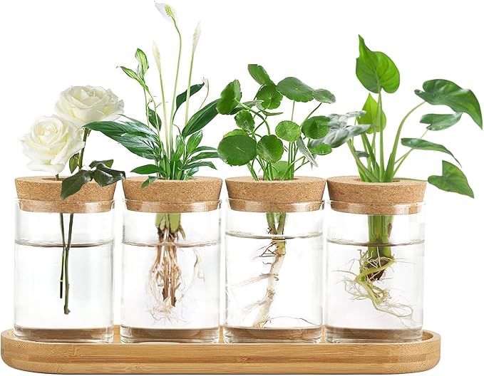 Dahey Plant Propagation Terrarium Desktop Glass Planter Station Water Planting by Dahey