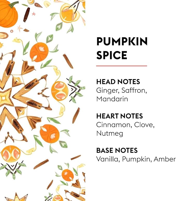 MAISON BERGER Lampe Berger Refill, 500 ml, Pumpkin Spice | Catalytic Lamp - Image 2